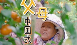 娱乐吃瓜酱愧疚式教育,娱乐吃瓜酱的反思与启示